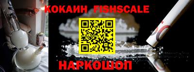 тгк Кингисепп