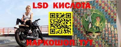 тгк Кингисепп