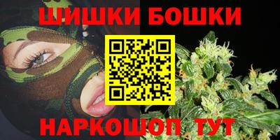 тгк Кингисепп