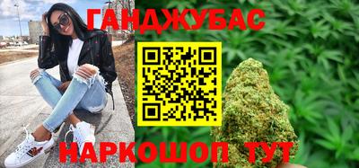 тгк Кингисепп