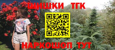 тгк Кингисепп