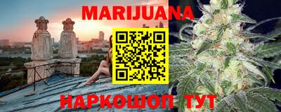 тгк Кингисепп