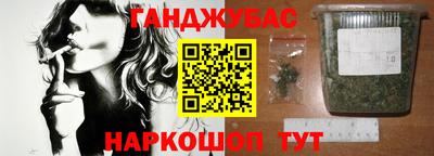 тгк Кингисепп
