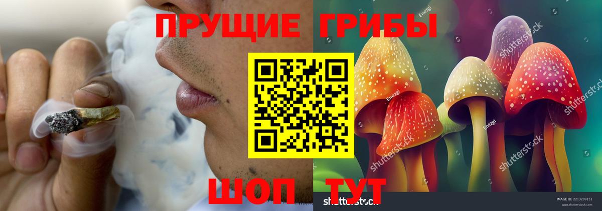 Киржач  Галлюциногенные грибы Psilocybe  Вход с VPN 